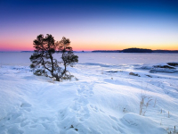 Historia y Mitología Nórdica