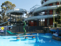 Peligro en parques acuaticos