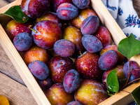 Manualidades con cajones de frutas