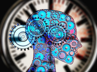 Introducción a la Psicología