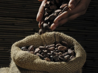 El Gourmet y Batería de cocina