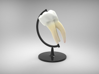 Implantología Oral y Reconstructiva