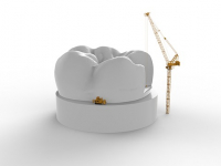 ANATOMÍA DENTAL Y OCLUSIÓN