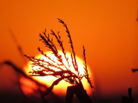 ARQUITECTURA BIOCLIMÁTICA