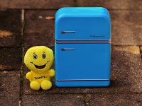 Buenas Prácticas en Refrigeración