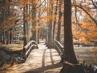 Curso de jardinería a gran escala completo