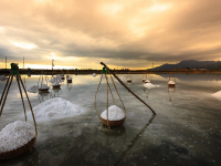 Curso de granjero de lecheria ordeña y alimentación de vaca