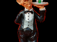 Curso de Mesero completo