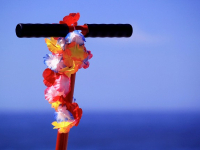 Como hacer un traje hawaiano