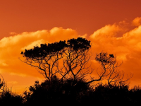 Equilibrios. Parques Nacionales