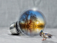 Lecciones - Gestión Ambiental