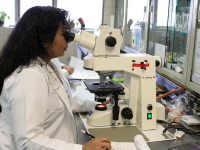 Bioquímica y Farmacia