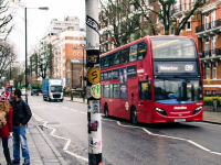 Tutorías - Inglés II