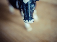 Tutorías - Educación Infantil II