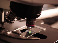 Microbiología de Alimentos