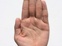 Sociología de la Educación 