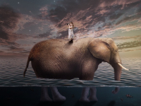 Psicología de la Familia