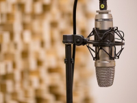 Introducción a la Comunicación