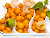 Significado de Vegano y Recetas Veganas