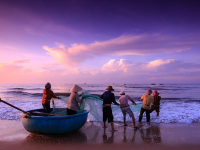 Vida Positiva. Pensamientos Y Actitud Positiva