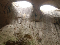 Concienciación sobre la Naturaleza