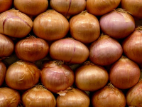 Conservación de Semillas