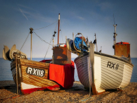 Trabajadores del sector primario