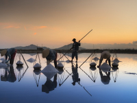 Agricultura tradicional