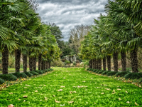 Bosque mediterráneo