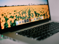 Tutoriales Adobe Indesign