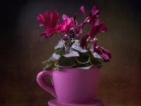 Manualidades decoración hogar DIY