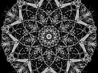 Mandalas y Zentangle Art 