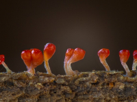 Magia de Series y Peliculas