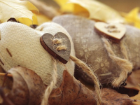 Usos del color en la decoracion