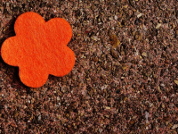 Manualidades con Fieltro