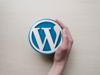 Wordpress para iniciantes