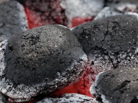 Gerenciamento de Créditos de Carbono