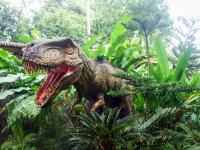 Conhecendo os Dinossauros