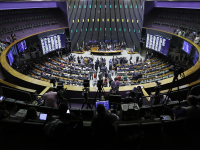 Democracia e o Governo Representativo