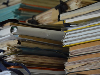 Processo Administrativo Disciplinar