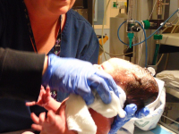 Acesso venoso na UTI pediátrica e neonatal