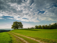 Sustentabilidade no meio rural