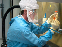 Patologia educacional