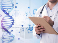 Metabolismo hormonal