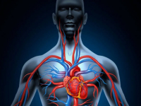 Adaptações do sistema cardiorrespiratório