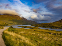Tutelas específicas do meio ambiente