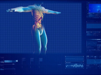 Noções básicas de anatomia e fisiologia humana