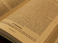 Controle de constitucionalidade e ações constitucionais