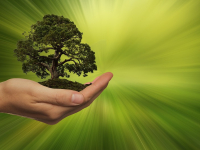 Meio ambiente e sustentabilidade