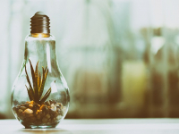 A evolução da consciência ambiental